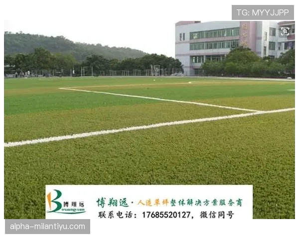 草坪场地规则拆解：职业比赛必须满足哪些标准？