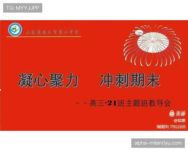 费耶诺德伤停问题持续困扰冲刺期备战节奏
